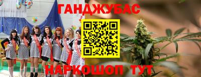 гашик Жуковский