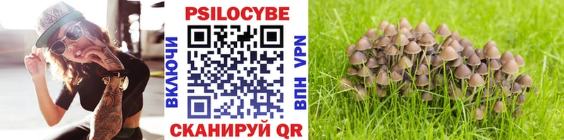 как найти закладки  Новодвинск  Псилоцибиновые грибы мухоморы 