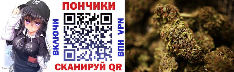 МЕГА зеркало  Новодвинск  МАРИХУАНА White Widow 